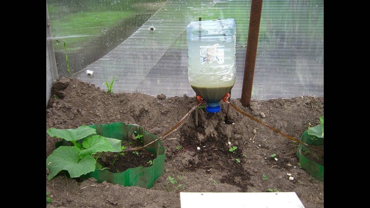 Фильтр для воды своими руками – пошаговая инструкция