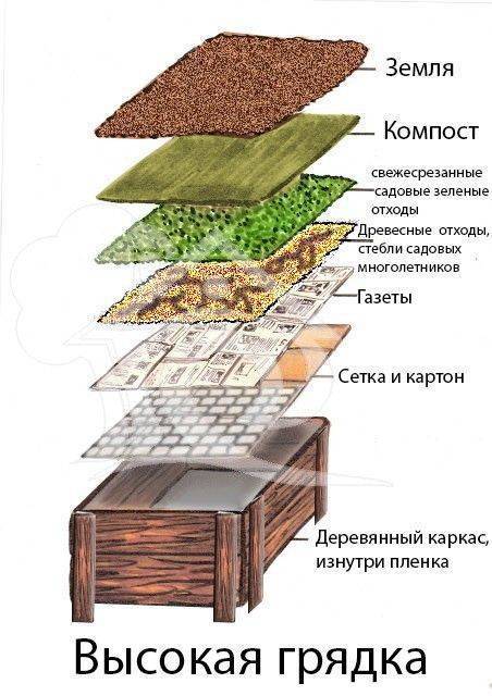 Высокие грядки своими руками: пошаговая инструкция с фото, особенности конструкции и отзывы