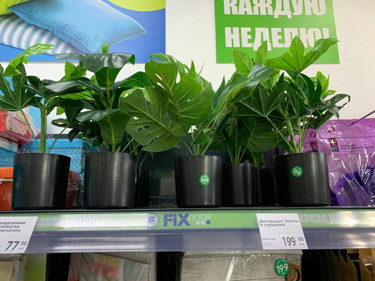 10 самых полезных товаров из fix price, которые упростят жизнь и помогут сэкономить